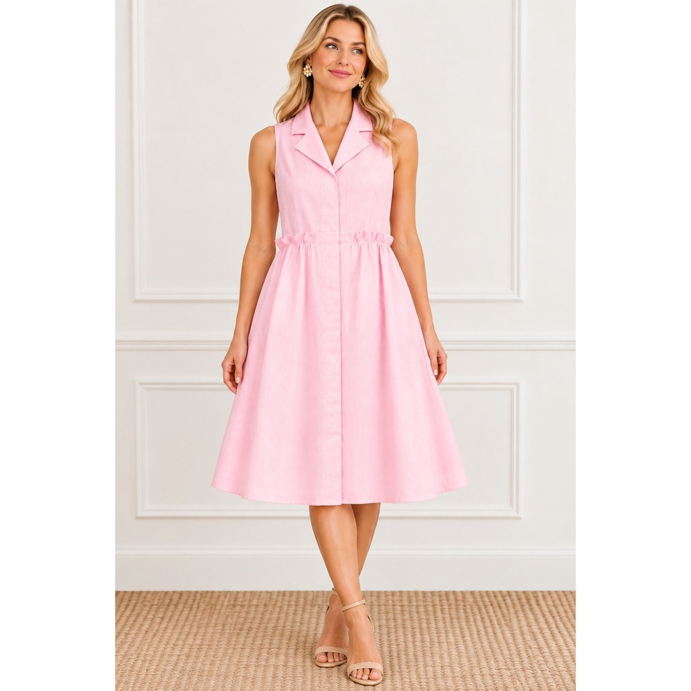 Tuckernuck Pink Oxford Sleeveless Royal Shirt Dress (MSRP: $148) XL